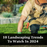 10 Landscaping Trends To Watch In 2024