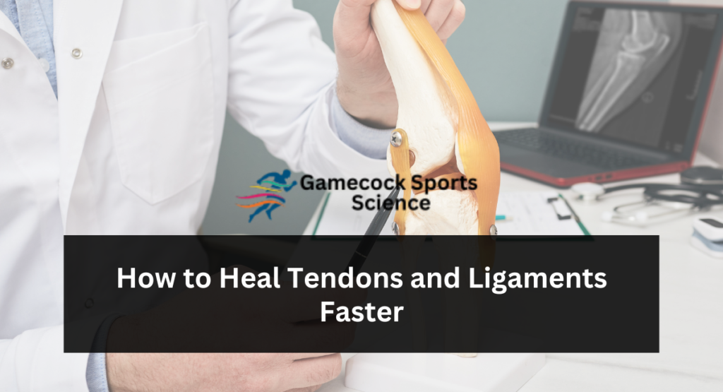 How to Heal Tendons and Ligaments Faster Gamecock Sports Science